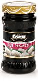 Seğmen Dut Pekmezi Kavanoz 400g