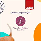 Jazzy General Dog Yetişkin Köpek Maması Kuzulu 12 kg