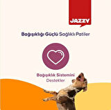 Jazzy General Dog Yetişkin Köpek Maması Kuzulu 12 kg