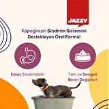 Jazzy General Dog Yetişkin Köpek Maması Kuzulu 12 kg