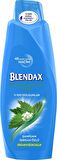 Blendax Dökülen Saçlar İçin Dökülme Karşıtı Isırgan Otlu Şampuan 500 ml