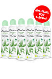 Natural Breeze Kadın Deodorant 6x200 ml