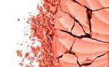Flormar Allık - Pretty Compact Blush 113
