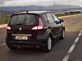 Renault Scenic 3 2010-2015 Arka Cam Sileceği Silecek Süpürgesi 30cm