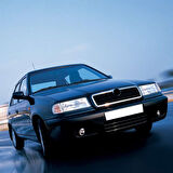 Skoda Felicia 1995-2001 Arka Teker Helezonik Yay Takımı 6U6511115A
