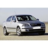 Skoda Octavia A5 2005-2008 Sağ Dış Dikiz Ayna Camı Manuel 1Z1857522