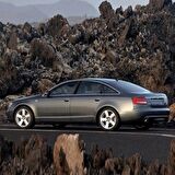 Audi A6 2005-2008 Arka Sağ Plaka Aydınlatma Lamba Camı 8E0943022B