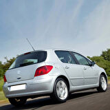 Peugeot 307 HB 2001-2004 Arka Cam Silecek Silgi Kolu Takımı 6429.T1