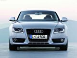 Audi A5 2008-2016 Cam Suyu Fiskiye Bidonu Mavi Kapak 357955455