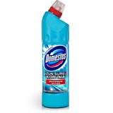 Domestos Okaliptus Ferahlığı Çamaşır Suyu 750 ml