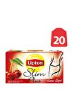 Lipton Kiraz Saplı Organik Meyve Bardak Poşet Çay 20'li 