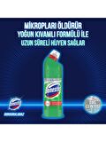 Domestos Çamaşır Suyu Yoğun Kıvamlı Maksimum Hijyen Dağ Esintisi 750 ML X 5 Adet