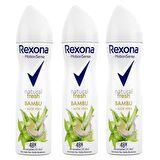 Rexona Aloe Vera ve Bambu Özlü Deodorant 150ML 3lü Set