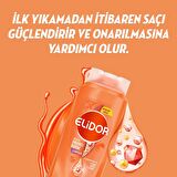 Elidor Co-Creations Tüm Saçlar İçin Kırılma Karşıtı Şampuan 650 ml
