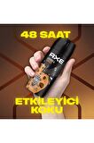 Erkek Deodorant Sprey Leather & Cookies 150 ml 4 Adet