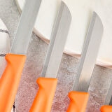 Aryıldız Mira 6 Parça Meyve Bıçak Seti Turuncu