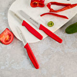 Aryıldız Solo 3 Parça Bıçak Seti kırmızı