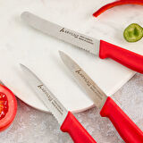Aryıldız Solo 3 Parça Bıçak Seti kırmızı