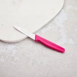 Aryıldız Solo Sebze Bıçağı Pembe 10 cm
