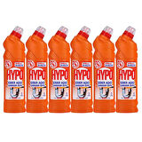HYPO GİDER AÇICI ÇAMAŞIR SUYU ÇAM TAZELİĞİ 750 GR x 6 ADET