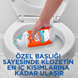 Likit Klozet Temizliği Bahar Tazeliği 750 Ml