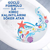 Likit Klozet Temizliği Bahar Tazeliği 750 Ml