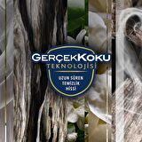Hava Tazeleyici Aerosol Oda Kokusu Oryantal Oud 300ml