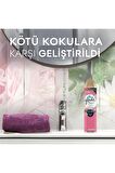Aerosol Oda Kokusu Çiçek Festivali 3 'lü Set