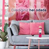 Hava Tazeleyici Aerosol, Oda Kokusu, Aşkın Büyüsü, 300ml