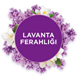 Banyo Hava Tazeleyici Yedek Lavanta Ferahlığı 10 ml