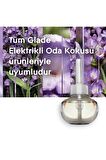 Elektrikli Oda Kokusu Yedek Lavanta
