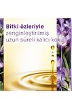 Elektrikli Oda Kokusu Yedek Lavanta
