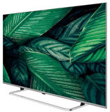 GRUNDİG 65 NANO GH 8100