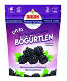 BAŞAK FREEZE DRİED-DONDURARAK KURUTULMUŞ BÖĞÜRTLEN 20 gr. X 3 Adet