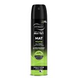 Hobby Saç Spreyi Mat Görünüm Güçlü Tutuş 250 Ml