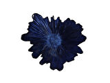 Porland Coralline Kase 31 cm 04FIA002826
