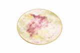 Porland Cosmos Desen2 Düz Tabak 20cm