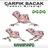 Muhabbet Çarpık Bacak Tedavi Bileziği No: 3-4