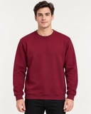 Basic Bisiklet Yaka Relaxed Regular Erkek Sweatshirt - 7773