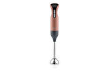 Prostick 1000 El Blender Seti AR1016-AG - Akşam Güneşi