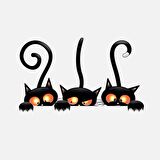 Araba 3 Kedi Sticker Yapıştırması