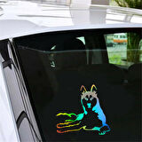 Husky Köpek Araba Sticker Yapıştırması 1