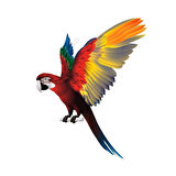 Papağan Araba Sticker Yapıştırması 17CM