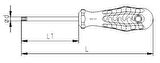 İzeltaş 4775 Torx Uçlu Tornavida Opak T20 4x100mm