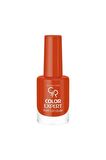 Golden Rose Color Expert Naıl Lacquer No:411
