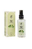 Rebul LIME - Limon Edc 125ml Sprey Pet Şişeli Kolonya 12 Adet (1 Koli)