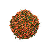 Nertera Granadensis 'Orange' (Mercan Boncuğu)