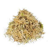 Sphagnum Yosunu 5 LT