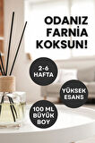 Farnia Premium Çubuklu Oda ve Ofis Kokusu 100 Ml Kavun Mango Melon Mango