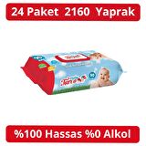 Baby Turco Islak Havlu Kapaklı 90'lı 24 Adet 2160 Yaprak